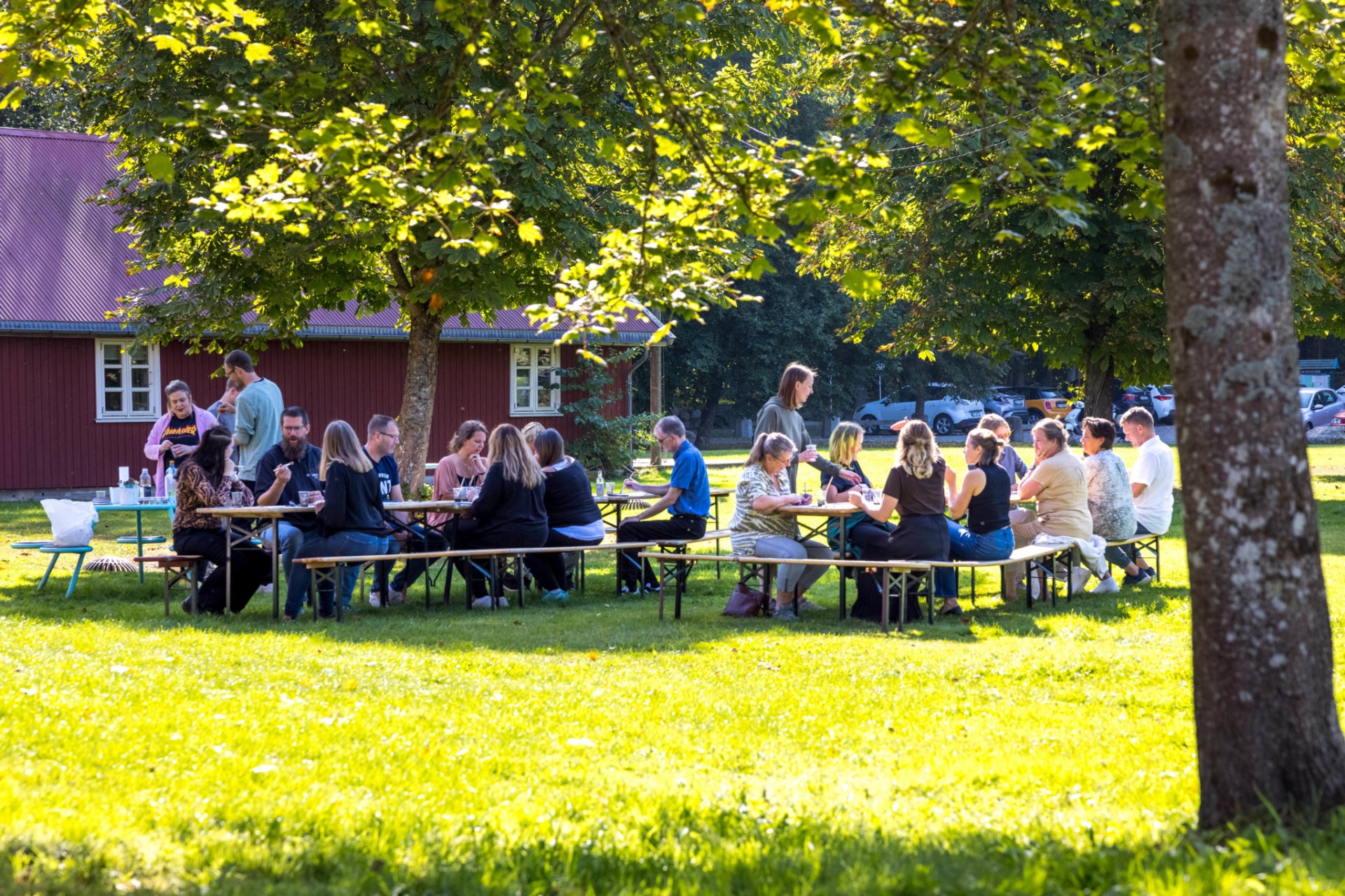 Foto: Eivind Lauritzen / Galleri F 15